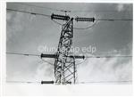 Linha a 220 kV  _ Amarrações de um poste de alta tensão _ [1964-09-25] _ FNI _ 13333 _98.jpg