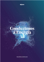 REN_Relatório_Contas_2019.pdf