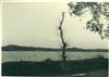 C.R.G.E.-Linha do Vale do Tejo _ Inundações no Inverno de 1932 _ 1932-- _ Kurt Pinto _ 15161 _ 6.jpg