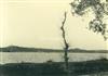 C.R.G.E. - Linha do Vale do Tejo _ Inundações no Inverno  _ 1932-00-00 _ Kurt Pinto _ 15134 _ 35.jpg