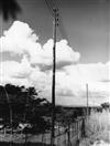 179716_005_Linha a 11 kV na África do Sul_31mar1965_Sonefe fotografia.jpg