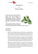 Centrais eléctricas no Distrito de Portalegre.pdf