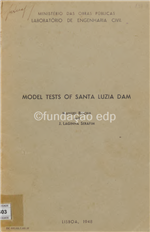 Model test of Santa Luzia dam.pdf