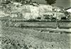 C.R.G.E. - Fábrica de Gás da Matinha _ Execução de desterros na quinta da Matinha _ 1938-10-29 _ Kurt Pinto _ 15137 _ 26.jpg
